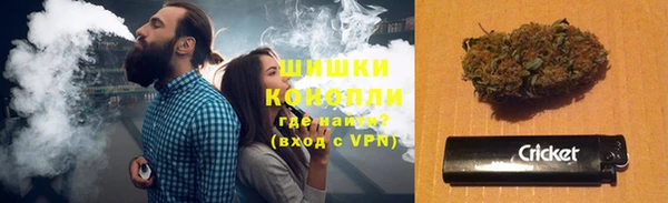 ПСИЛОЦИБИНОВЫЕ ГРИБЫ Пересвет
