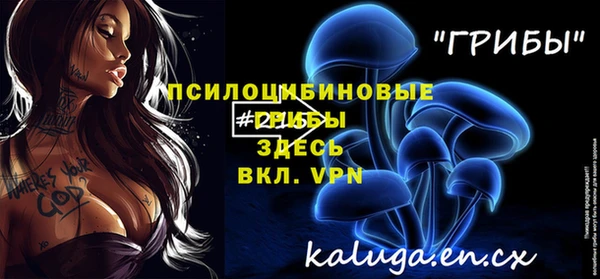прущий лед Аркадак